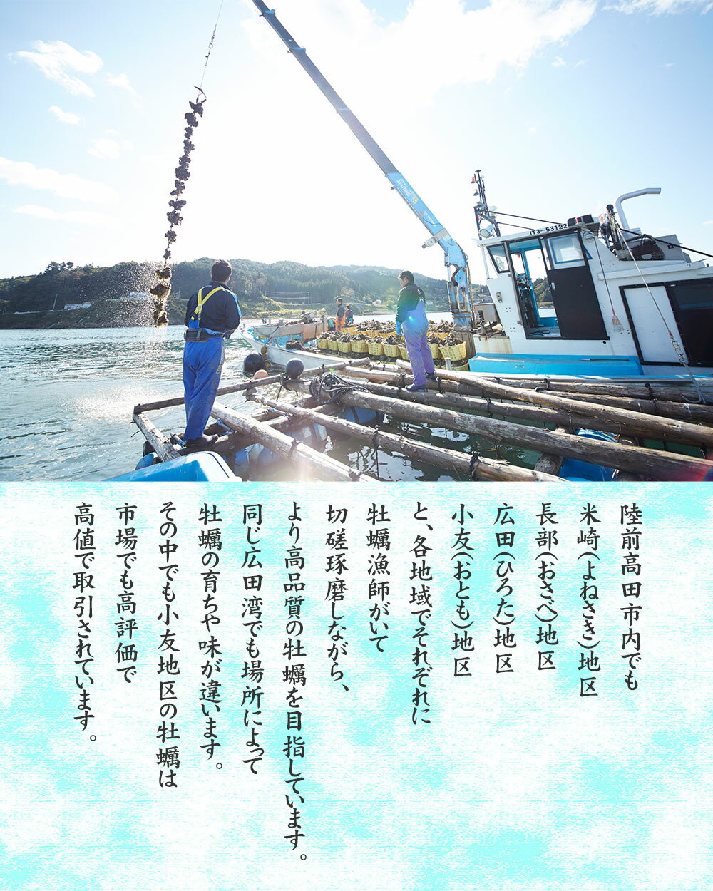 生牡蠣 3年の手間暇をかけて育てたこだわりの逸品 ぷっくりで旨味凝縮された広田湾小友の殻付き牡蠣 大粒の生ガキを口いっぱいに頬張る幸せを是非 牡蠣 生食 殻付き 15個 カキ 最大57 オフ 陸前高田 剥き方説明書付き マルテン水産 冷蔵 岩手 軍手 ナイフ 三陸 大粒