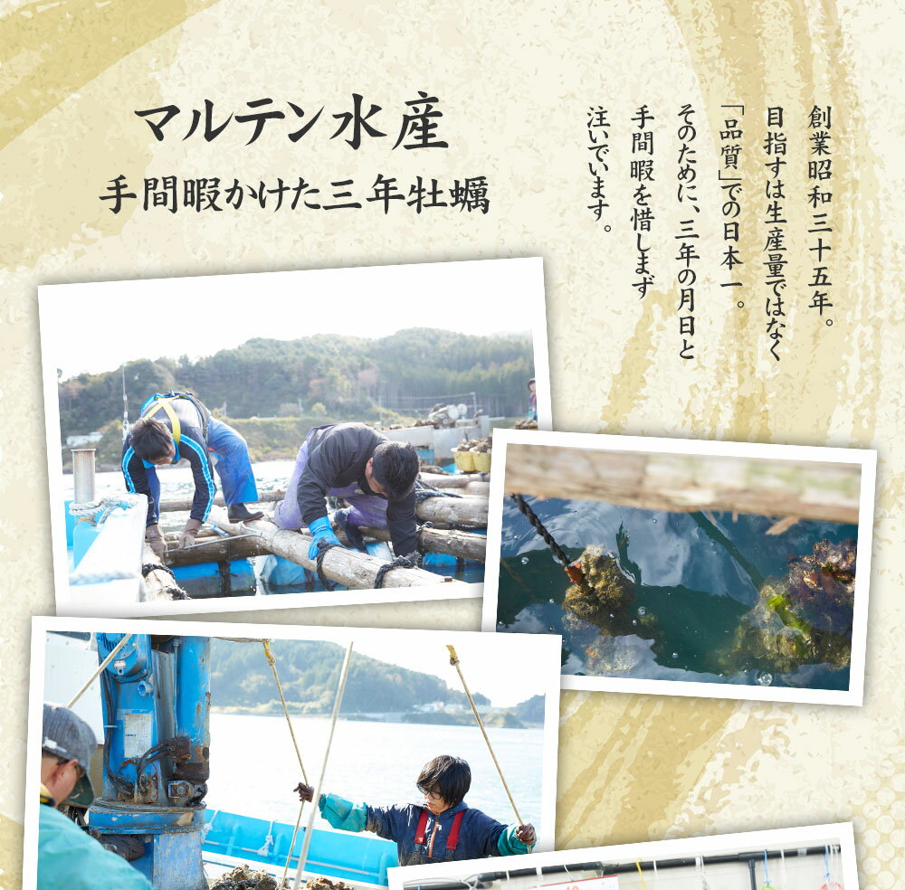 生牡蠣 3年の手間暇をかけて育てたこだわりの逸品 ぷっくりで旨味凝縮された広田湾小友の殻付き牡蠣 大粒の生ガキを口いっぱいに頬張る幸せを是非 牡蠣 生食 殻付き 15個 カキ 最大57 オフ 陸前高田 剥き方説明書付き マルテン水産 冷蔵 岩手 軍手 ナイフ 三陸 大粒