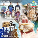 【ふるさと納税】 牡蠣 殻付き 生食 約 3kg 冷蔵 (ナイフ・軍手・剥き方説明書付き)[ 真牡蠣 牡蠣 かき カキ 生牡蠣 生食用 旬 新鮮 海鮮 濃厚 料...