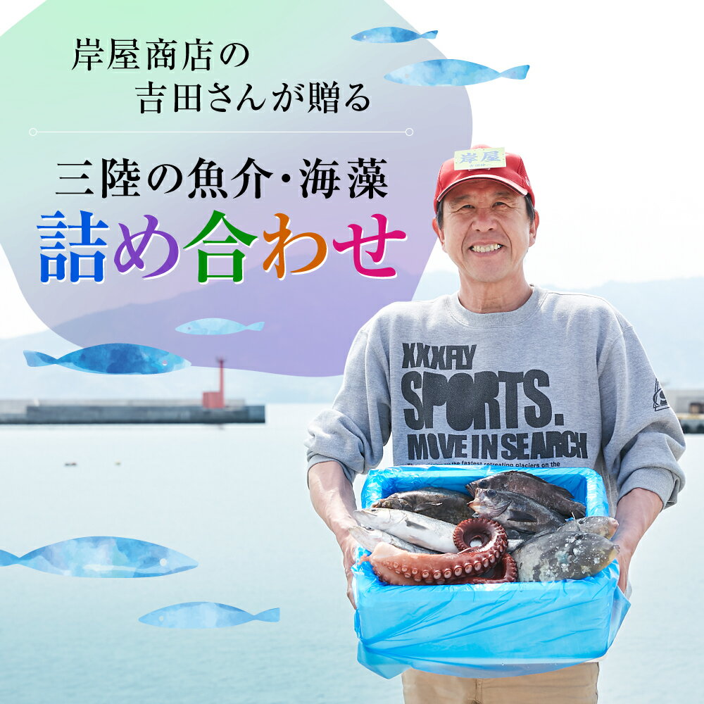 【ふるさと納税】鮮魚 魚 詰め合わせ セット 定期便 3ヶ月 【下処理可】 ≪特選≫ 【 無添加 新鮮 三陸産 国産 天然 海鮮 お刺身 魚介 魚介類 海藻 鮮魚BOX ボックス お祝い 宴会 時短 便利 簡単 お手軽 】岩手 陸前高田市 産地直送