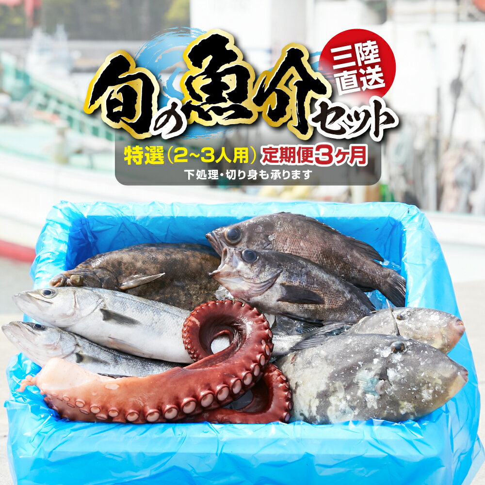 【ふるさと納税】 鮮魚 魚 定期便 3ヶ月 海産物 魚介類 詰め合わせ セット 《下処理可》【 無添加 新鮮..