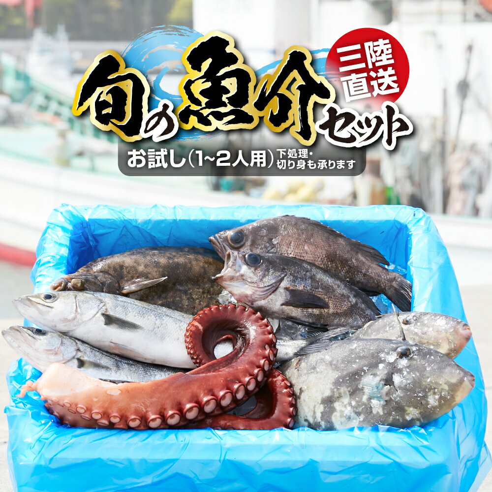 【ふるさと納税】魚 鮮魚 詰め合わせ セット 冷蔵《お試し 