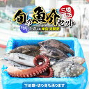 【ふるさと納税】魚 鮮魚 詰め合わせ セット 冷蔵 《 お試し 1~2人用 》 下処理 / 発送回数が 選べる [ 海鮮 無添加 新鮮 三陸 国産 天然 お刺身...