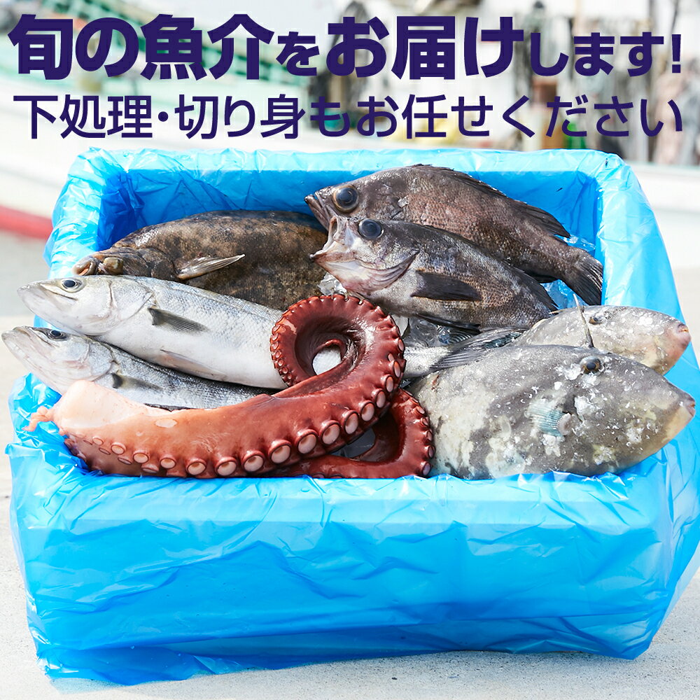 【ふるさと納税】 定期便 12ヶ月 魚 魚介 ≪特選≫ 三陸 海の恵み 詰め合わせ 下処理可 直送