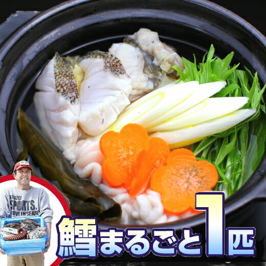 【ふるさと納税】【先行予約品】 タラ まるごと1匹 下処理可 【 鍋 セット 鮮魚 タラ 鱈 たら たら卵 ...