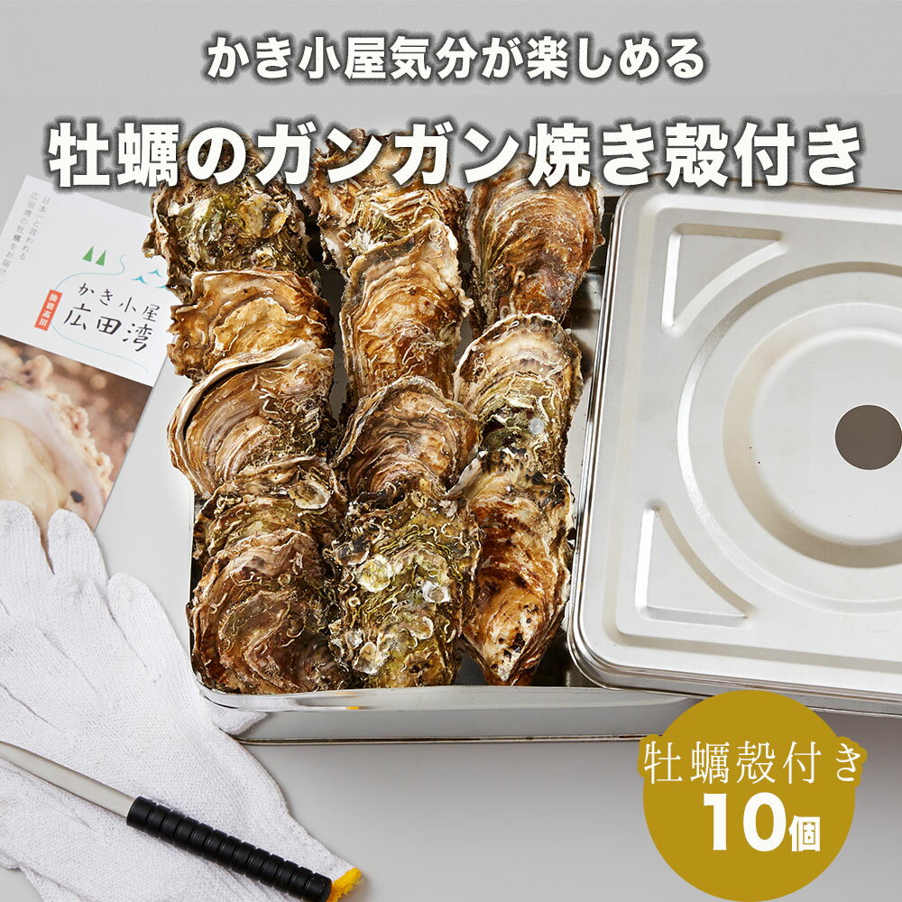 【ふるさと納税】牡蠣 ガンガン焼き 殻付き 10個 セット 《2023年11月後半～2024年4月後半発送》 海産 貝類 新鮮 直送 かき小屋 広田湾 簡単 お手軽