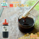 【ふるさと納税】国産 純粋 はちみつ 〈 ソバ 〉 600g ×1個 【 蜂蜜 ハチミツ そば 無添加 天然 スイーツ お菓子 パンケーキ 調味料 濃厚 おすす...
