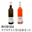 リアス ワイン 辛口 2本 セット (白/ロゼ) 神田葡萄園 750ml×2本 ギフト【予約／12月下旬から順次発送】 酒類 岩手 陸前高田のお酒