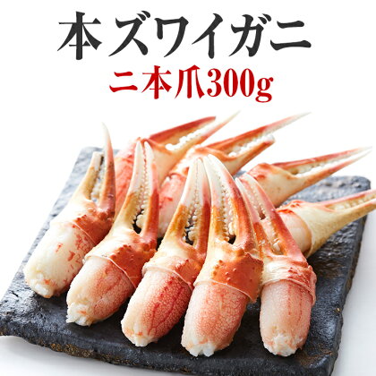 かに ボイル むき身 本ズワイガニ 二本爪300g(11～12本) 【 簡単 お手軽 カニ爪 蟹爪 カニ爪肉 刺身 むき身 ポーション おつまみ 贈答 贈り物 お祝い ギフト 海鮮丼 ずわい蟹 ズワイ蟹 カニ お正月 鍋 おせち 】