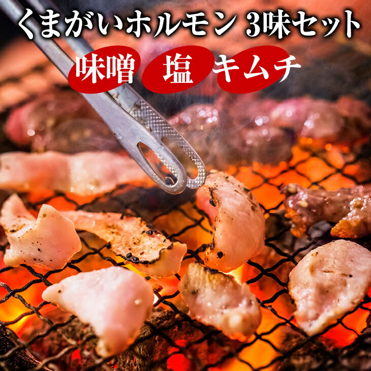 30位! 口コミ数「3件」評価「5」ホルモン 3種 セット(味噌・塩・キムチ) 焼肉 ミックス 国産 小分け パック 冷凍 食べ比べ(各2パック×3種 計6パック) ソウルフー･･･ 