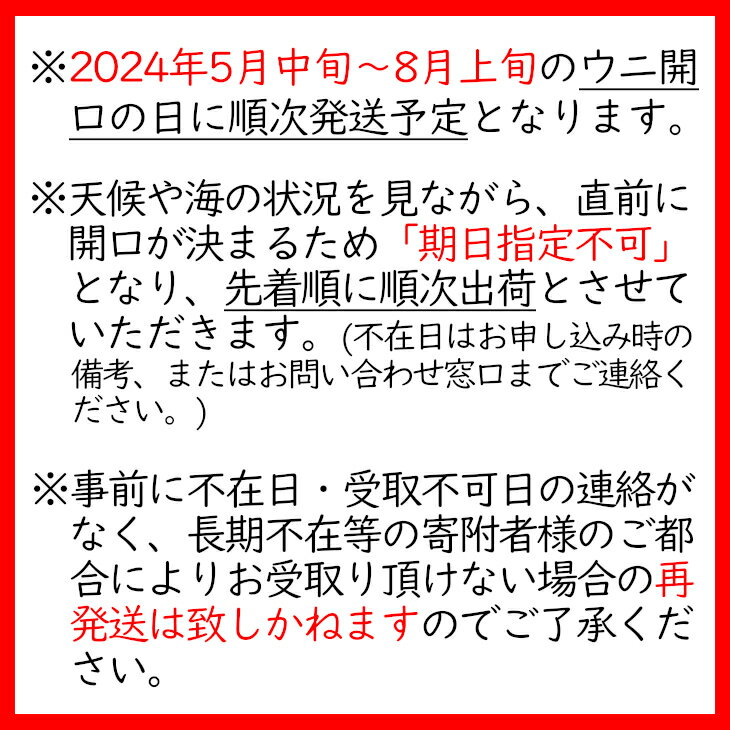 【ふるさと納税】生うに 300g ミョウバン不使用 《2024年／先行予約》 【 無添加 三陸産 広田湾 天然 濃厚 獲れたて 魚介類 雲丹 ウニ 塩水 塩水うに 魚介 海産物 海の幸 寿司 うに丼 ウニ丼 刺身 贈答 贈り物 お祝い ギフト 期日指定不可 産地直送 期間限定 数量限定 】