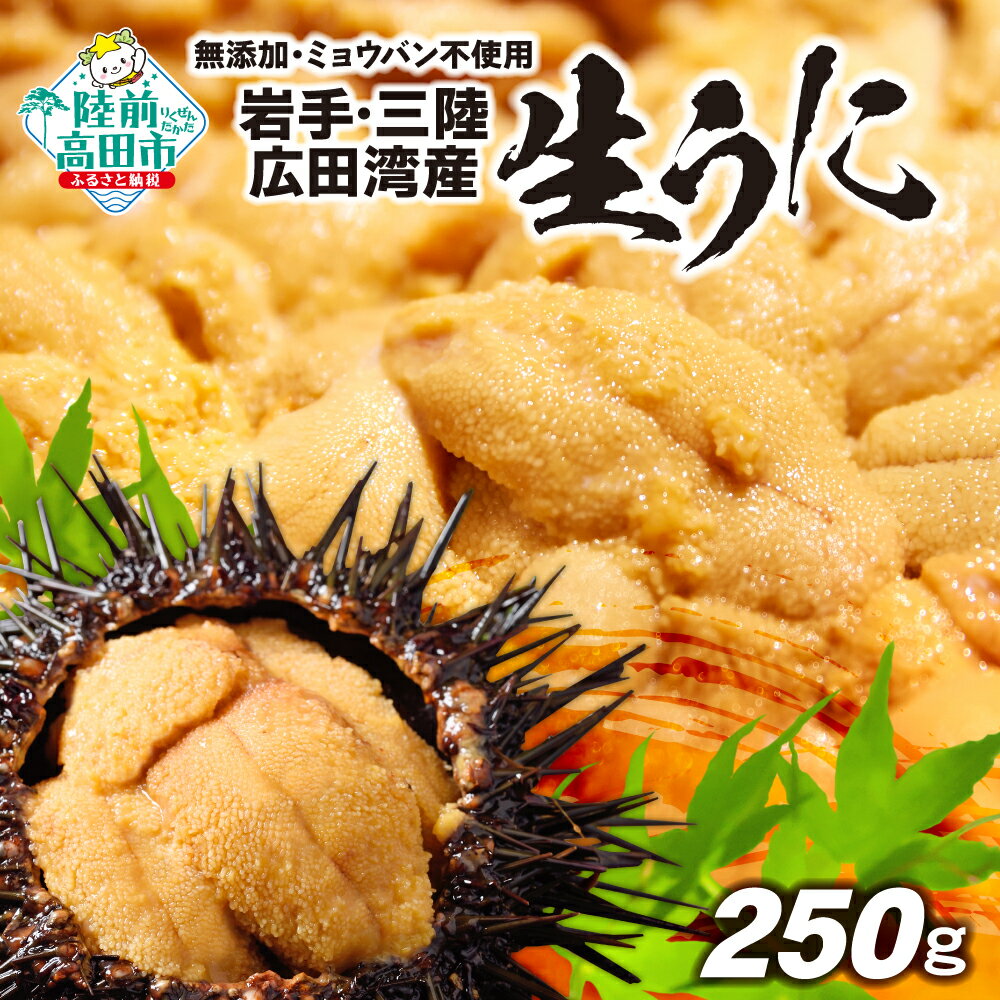 【ふるさと納税】生うに ミョウバン不使用 選べる内容量 250g 500g 【2026年発送 先行予約】 うに 無添加 ムラサキウニ [ 三陸 広田湾 天然 旬...