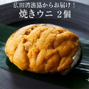 18位! 口コミ数「2件」評価「5」無添加 焼きウニ 80g × 2個 セット 広田湾漁協からお届け 【 うに ウニ 雲丹 ミョウバン不使用 無添加 濃厚 天然 海産物 海の幸･･･ 