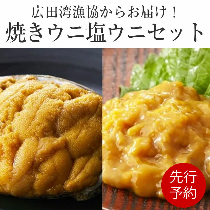 【ふるさと納税】焼きうに ＆ 塩うに 食べ比べ セット 【 ウニ 雲丹 ミョウバン不使用 無添加 濃厚 天...