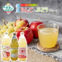 【ふるさと納税】【 数量限定 】 潮風りんごジュース & ぶどうジュース 1L×3本 飲み比べ [ りんご ぶどう 果物 旬 飲料 フルーツジュース ストレート...