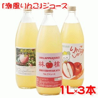 46位! 口コミ数「1件」評価「3」飲み比べ 潮風 りんごジュース 1L×3本 セット 【 果汁 100% ストレート りんご リンゴ 林檎 ジュース アップルジュース 飲料 ･･･ 