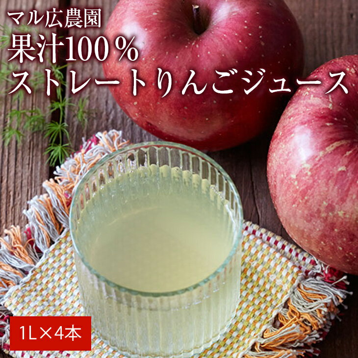 【ふるさと納税】果汁 100% 完熟りんごの りんごジュース