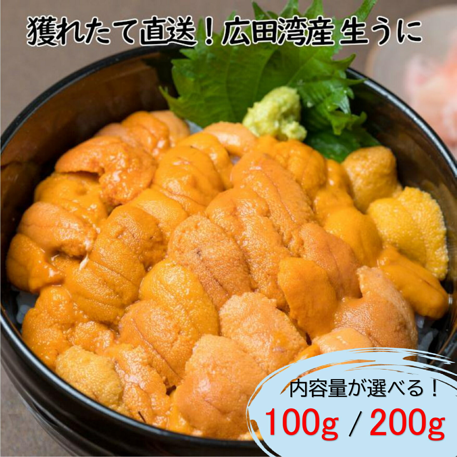 【ふるさと納税】うに うに塩水 100g / 200g《先行