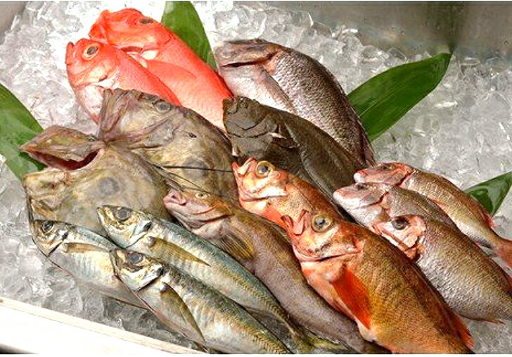 鮮魚ボックス