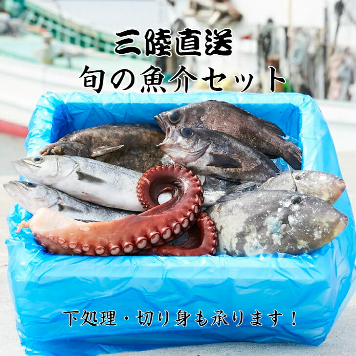 【ふるさと納税】海産物 魚介類 詰め合わせ セット≪特選≫三陸 海の恵み 鮮魚 下処理 直送 海藻 刺身 切り身 魚 さんま タコ