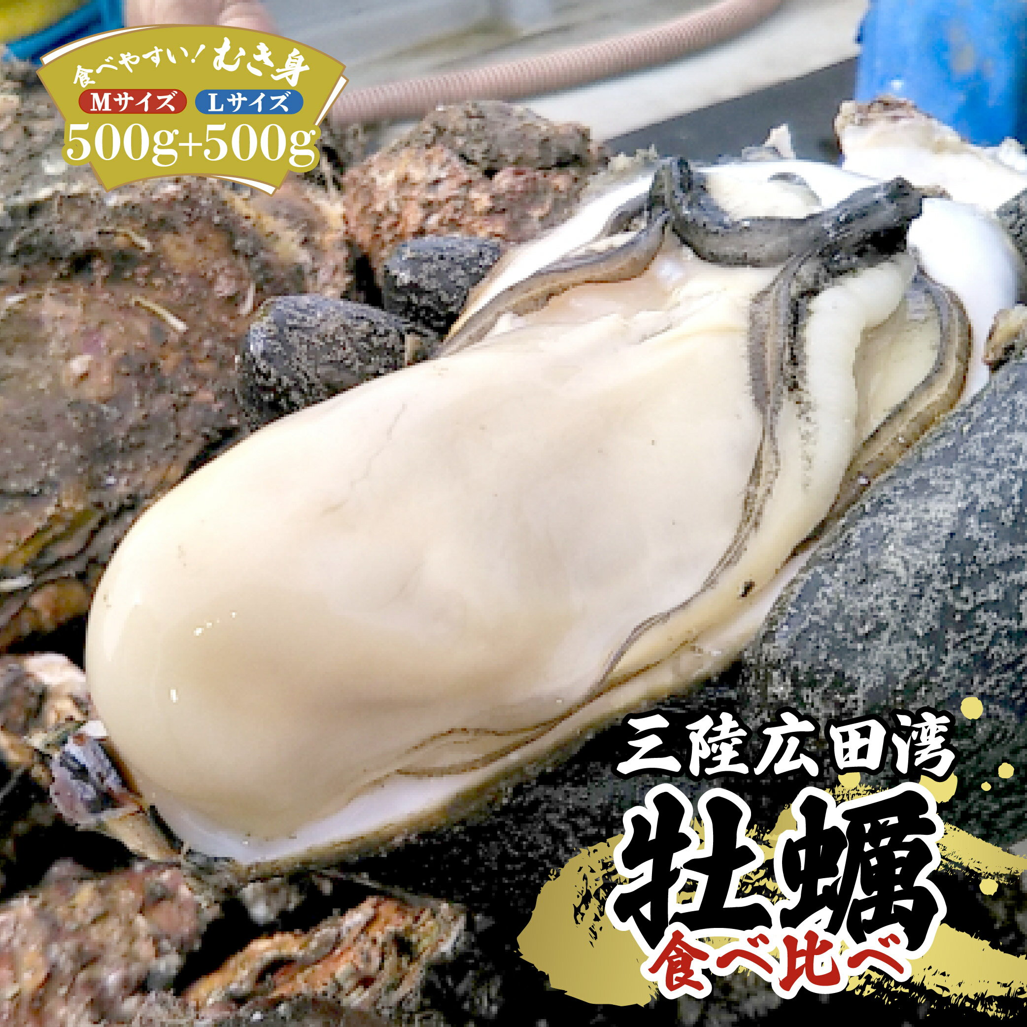 【ふるさと納税】 先行予約 牡蠣 むき身 大粒 M＆L 食べ比べ 加熱用 1kg ( 500g × 2パック ) 便利 かき 三陸 小屋広田湾 陸前高田《2023年11月前半～2024年4月前半発送》 岩手 鈴吉丸 鈴木さん家