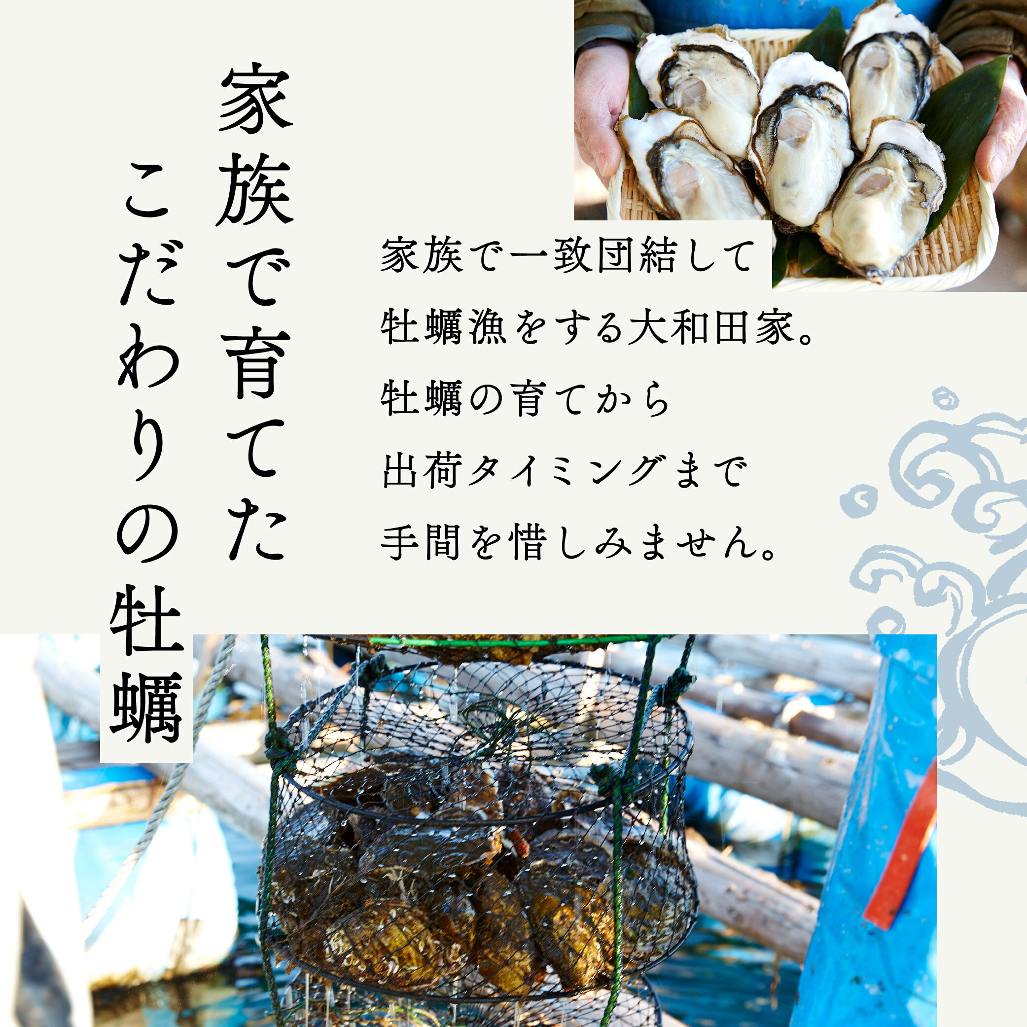 【ふるさと納税】殻付き 牡蠣 生食 大粒 かき［Mサイズ／10個］【期日指定可】 大和田家 岩手 陸前高田