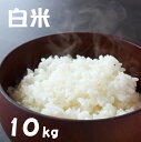 【ふるさと納税】先行予約 令和7年産 ひとめぼれ 白米 10kg [ お米 精米 ご飯 ごはん おにぎり お弁当 ギフト 仕送り キャンプ 備蓄 保存食 数量限...