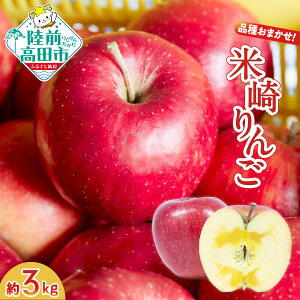 【ふるさと納税】米崎 旬の りんご 3kg【品種おまかせ1種】数量限定 リンゴ 林檎 9月 10月 11月 12月 青林 王林 ジョナゴールド シナノスイート 等 農業 岩手 陸前高田