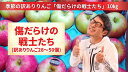 【ふるさと納税】りんご 10kg 先行予約 訳あり 季節のりんご MIX ( 28〜50個 ) 品種おまかせ 米崎りんご [ りんご リンゴ 林檎 旬 フルーツ...