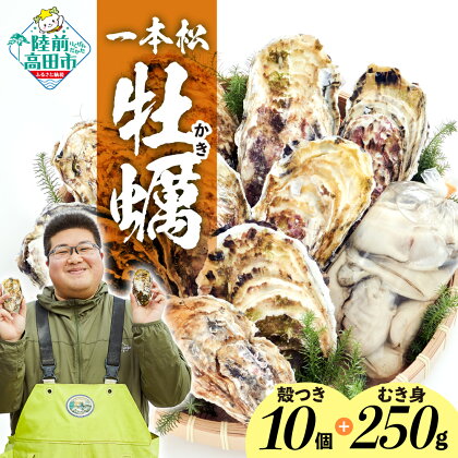 牡蠣 殻付き ( 生食用 ) 10個 & むき身 ( 加熱用 ) 250g セット 一本松牡蠣 剥き方説明書付き 【 天然 新鮮 かき カキ 生牡蠣 大粒 人気 おすすめ 冷蔵 鍋 牡蠣鍋 バーベキュー BBQ カキフライ 産地直送 国産 岩手 陸前高田 三陸産 広田湾産 気仙町 】