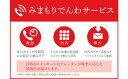 【ふるさと納税】郵便局 みまもり サービス 「みまもりでんわサービス ( 携帯電話 ) 」( 12ヶ月 )