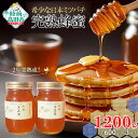 【ふるさと納税】先行予約 2年間 熟成 希少な 日本ミツバチ 完熟 蜂蜜 600g×2個 セット 数量限定 【 はちみつ ハチミツ 百花蜜 無添加 スイーツ 濃厚 セット 詰め合わせ ギフト 贈答品 贈り物 岩手 陸前高田 】