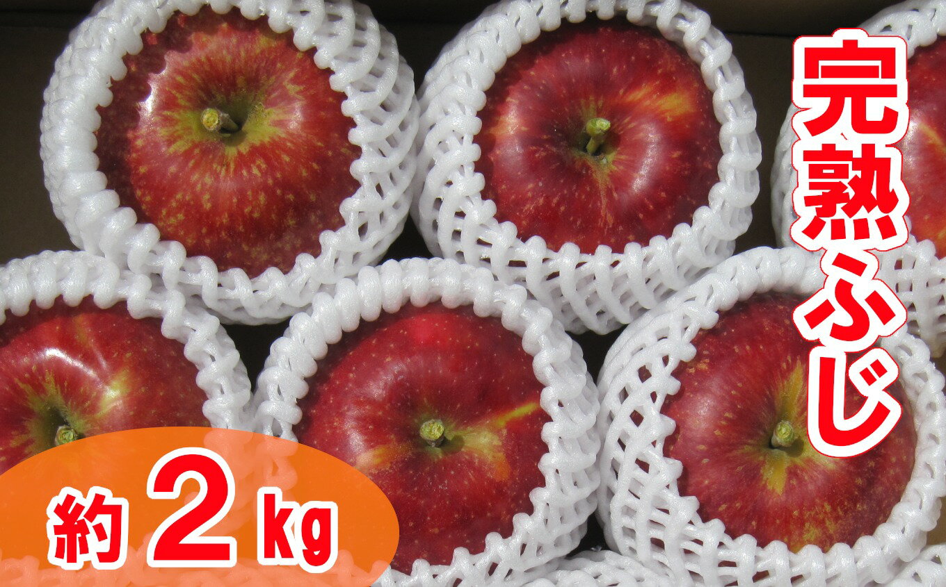 【ふるさと納税】先行予約 完熟 りんご 「 ふじ 」 約2kg 大玉サイズ 【 リンゴ 林檎 米崎りんご 果物 フルーツ 旬 期間限定 数量限定 ギフト プレゼ...
