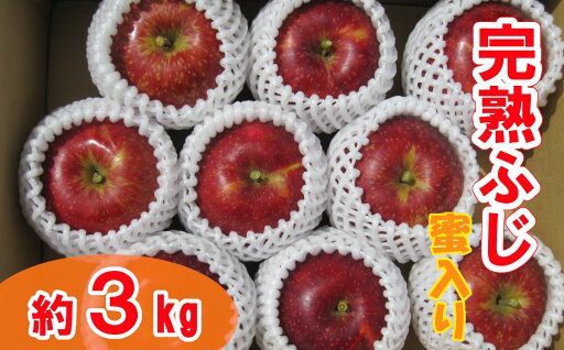 【ふるさと納税】先行予約 完熟 りんご 蜜入り 「 ふじ 」 約3kg 【 リンゴ 林檎 米崎りんご 果物 フルーツ 旬 期間限定 数量限定 ギフト プレゼント 贈答品 人気 おすすめ お取り寄せ 国産 岩手 陸前高田 清水農園 】 2025年12月頃から発送予定 【ふるさと納税】先行予約 完熟 りんご 蜜入り 「 ふじ 」 約3kg 【 リンゴ 林檎 米崎りんご 果物 フルーツ 旬 期間限定 数量限定 ギフト プレゼント 贈答品 人気 おすすめ お取り寄せ 国産 岩手 陸前高田 清水農園 】 2025年12月頃から発送予定