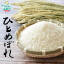 【ふるさと納税】先行予約 米 5kg 令和7年産 ひとめぼれ 白米 【 米 お米 ごはん ライス 精米 数量限定 人気 おすすめ お弁当 弁当 料理 おにぎり ...