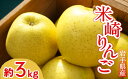 【ふるさと納税】先行予約 フレッシュ りんご 「 シナノゴールド 」 約3kg 【 リンゴ 林檎 米崎りんご 果物 フルーツ 旬 期間限定 数量限定 ギフト プ...