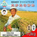 【ふるさと納税】残りわずか! 8/31まで限定受付 米 令和6年産 品種 たかたのゆめ 白米 玄米 内容量が選べる 5kg 10kg [ お米 地域 ブランド ...