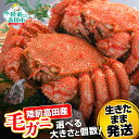 【ふるさと納税】カニ 毛ガニ 選べる サイズ 250g 〜 600g 〈生きたまま発送!〉[ かに 蟹 毛がに 毛蟹 活かに 魚介類 海産物 新鮮 天然 生鮮品...