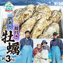 【ふるさと納税】訳あり 殻付き牡蠣 約3kg 冷蔵 [ かき カキ 海鮮 個数限定 数量限定 旬 わけあり 規格外 料理 生牡蠣 鍋 牡蠣鍋 アヒージョ カキフ...