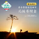 【ふるさと納税】≪返礼品なし≫ 1口 30,000円 岩手県 陸前高田市 [ 子ども 支援 給付型奨学金 高齢者 障がい者 支援 農林水産業 商工業 振興 移住...