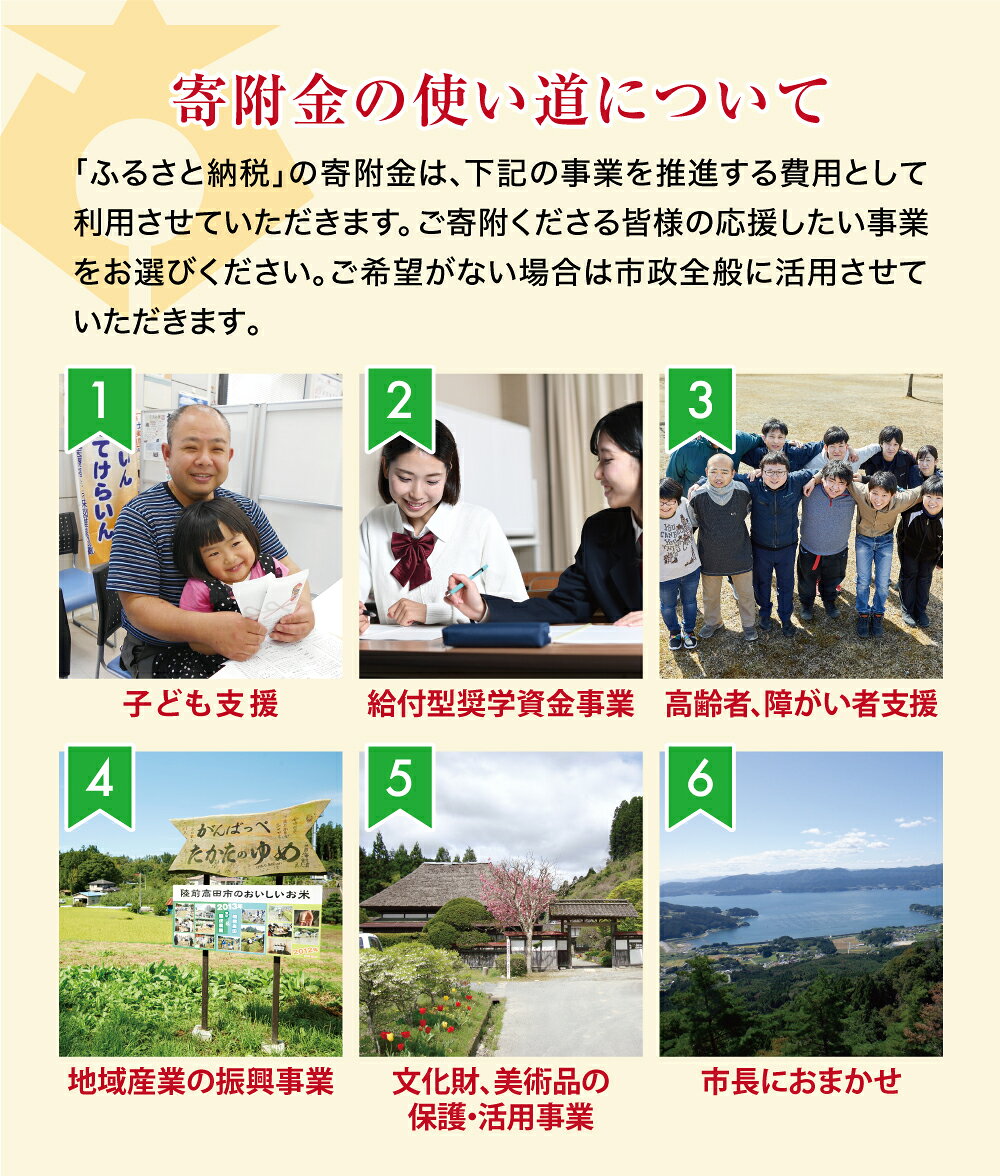 【ふるさと納税】≪返礼品なし≫ 1口 1,000円 ～ 10,000,000円 岩手県 陸前高田市 ［ 子ども 支援 給付型奨学金 高齢者 障がい者 支援 農林水産業 商工業 振興 移住 定住 環境 美化 NPO 団体 支援 文化財 復元 まちづくり ふるさと 応援 支援 協力 寄附 寄付 ］ f032107-rikuzentakata-10000540 岩手県陸前高田市 サンプル画像2
