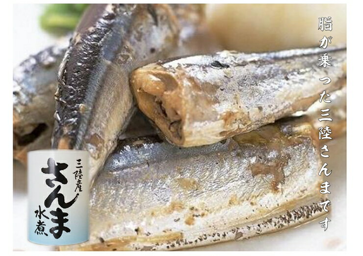 【ふるさと納税】 三陸産 さんま 水煮缶詰 4缶 セット 秋刀魚 サンマ 缶詰 水煮缶 おかず 惣菜 ご飯 ご飯のお供 魚介 魚 海鮮 海の幸 三陸 岩手 釜石 岩手県 釜石市 釜石振興開発 かまいし特産店