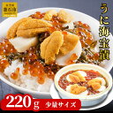 20位! 口コミ数「0件」評価「0」 うに海宝漬 220g 小分け 少量 ご飯のお供 うに 雲丹 ホタテ めかぶ いくら お取り寄せ 産地直送 贈答品 岩手県 釜石市 中村家 ･･･ 