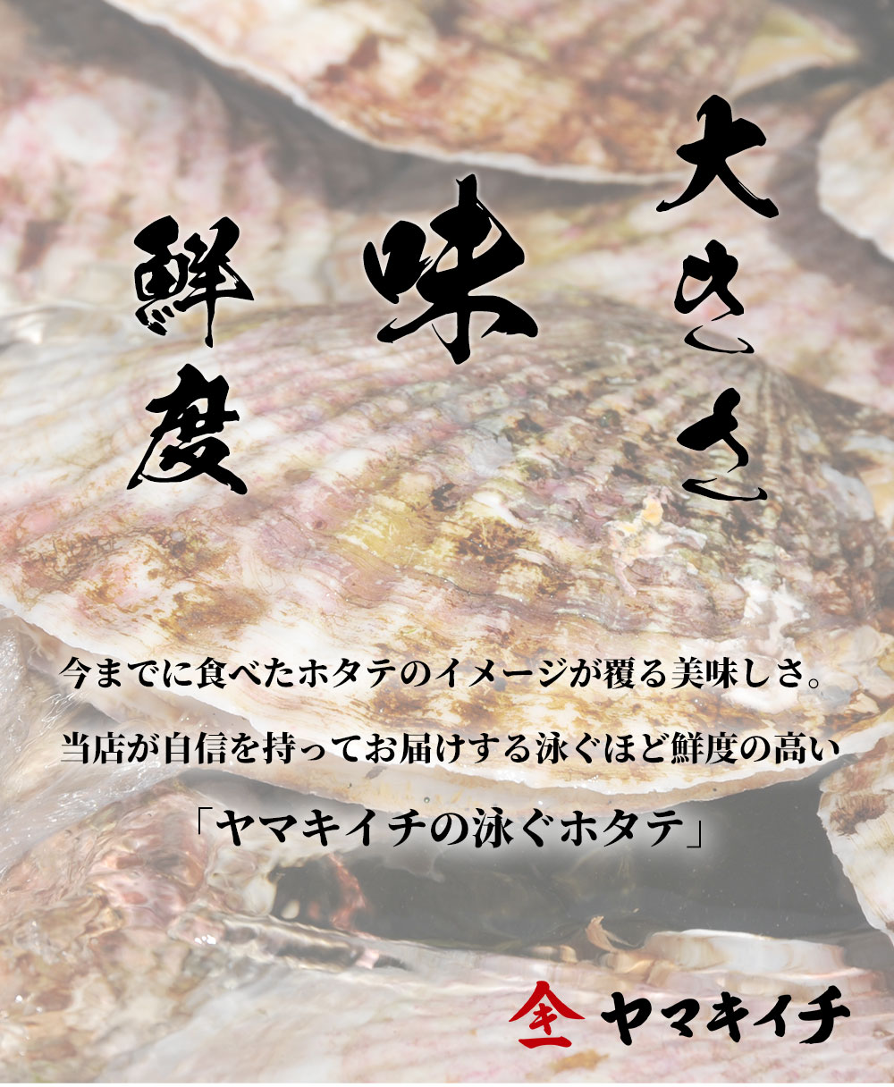 【ふるさと納税】 高評価 4.96 泳ぐホタテ 特大 活ホタテ 生ホタテ 生帆立 生 貝柱 帆立 殻付き 刺身 岩手県 釜石市 三陸海岸 鮮度 新鮮 ヤマキイチ ヤマキイチ商店 活きの良いホタテ 高級 ご褒美 海鮮大粒 ※離島・沖縄への発送不可