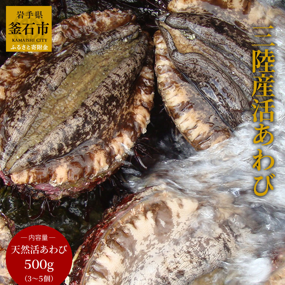 14位! 口コミ数「0件」評価「0」 三陸産 活あわび 活 アワビ 鮑 殻付きアワビ 刺身 アワビステーキ 天然アワビ ギフト 贈答品 三陸産 生あわび 生 アワビ刺身 岩手県･･･ 