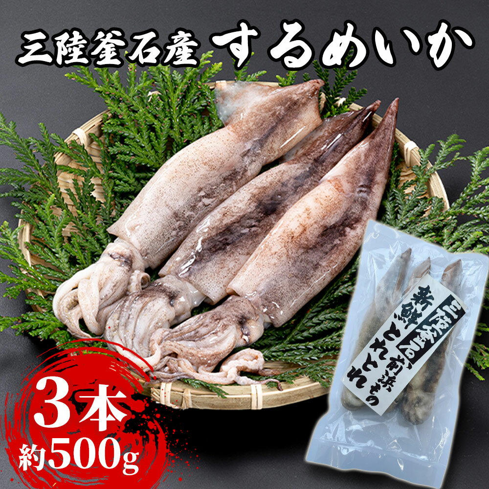 【ふるさと納税】 三陸釜石産 するめいか 小分けサイズ 3本