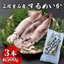  三陸釜石産 するめいか 小分けサイズ 3本パック 約500g 大型 するめいか バラ冷凍 便利 いか ゲソ 揚げ物 フライ 産地直送 阪神低温 岩手県 釜石市 岩手 釜石 三陸 海産物 魚 魚介 海鮮 新鮮 おかず 惣菜