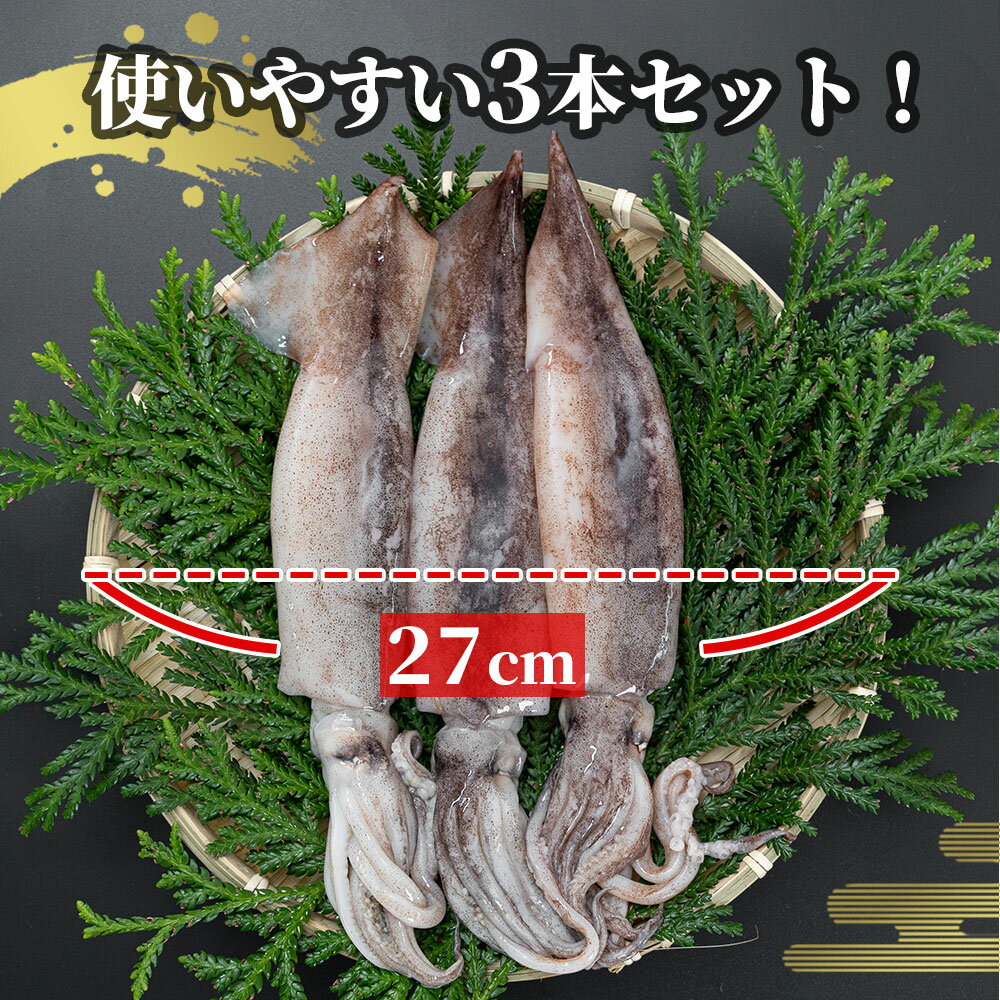 【ふるさと納税】 三陸釜石産 するめいか 小分けサイズ 3本パック 約500g 大型 するめいか バラ冷凍 便利 いか ゲソ 揚げ物 フライ 産地直送 阪神低温 岩手県 釜石市 岩手 釜石 三陸 海産物 魚 魚介 海鮮 新鮮 おかず 惣菜