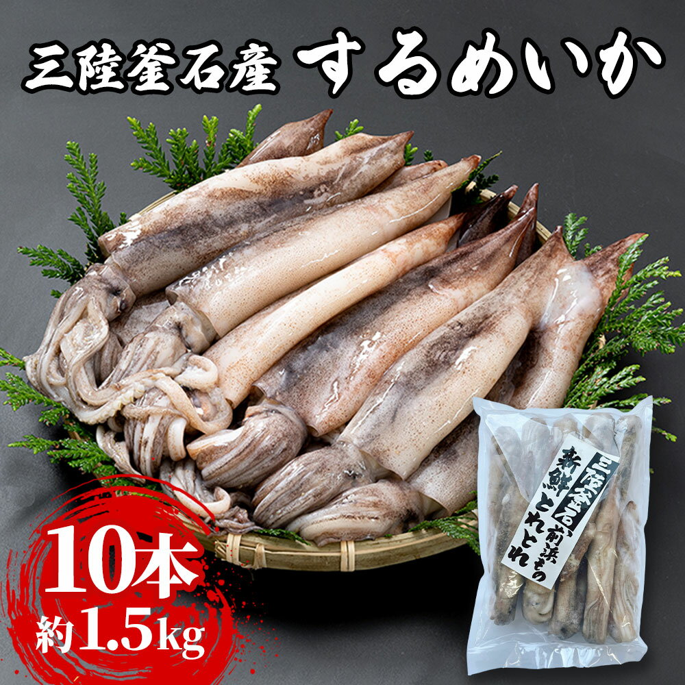 三陸釜石産 するめいか 大容量パック!10本 約1.5kg 大型 するめいか バラ冷凍 便利 いか ゲソ 揚げ物 フライ 産地直送 阪神低温 岩手県 釜石市 岩手 釜石 三陸 海産物 魚 魚介 海鮮 新鮮 おかず 惣菜 バーベキュー