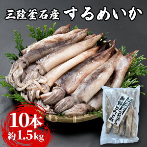 【ふるさと納税】 三陸釜石産 するめいか 大容量パック！10本 約1.5kg 大型 するめいか バラ...